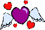 Sentimentos: um pouco do que sinto